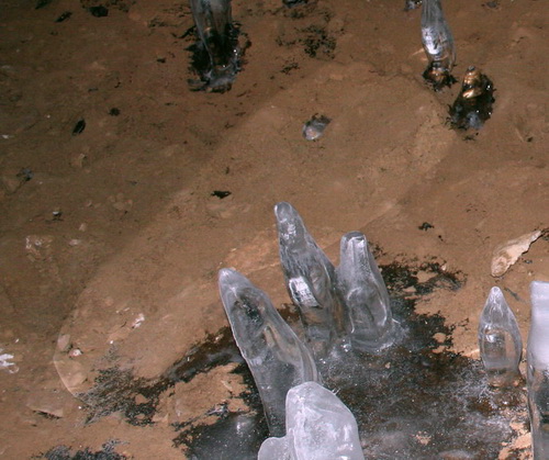 Считается, что на фотографии, сделанной охотниками, отчетливо видны пальцы ног гоминида
