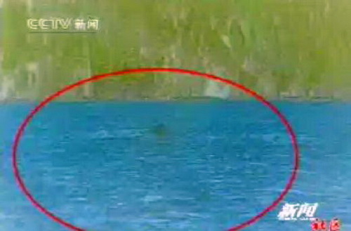 Фотография следов дракона, сделанная в предыдущие годы