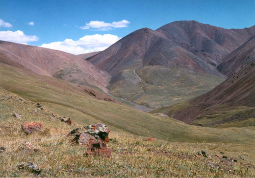 Северный макросклон хребта Сайлюгем, Кош-Агачский район. Фото С. Горюновой