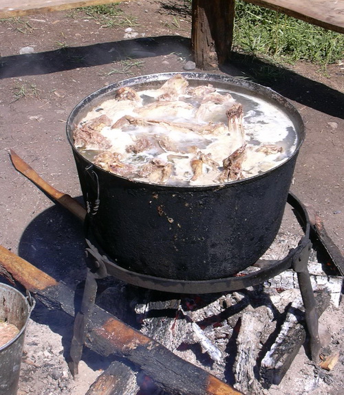 Кош-агачская баранина считается самой вкусной на Алтае