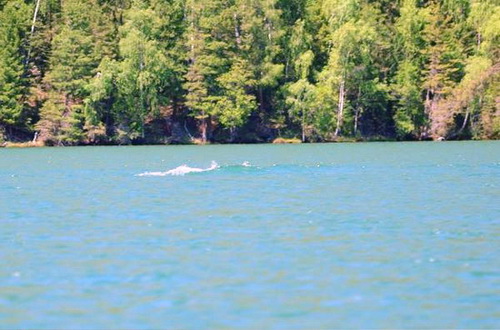 Фотография, сделанная туристами 2 июля 2009 года