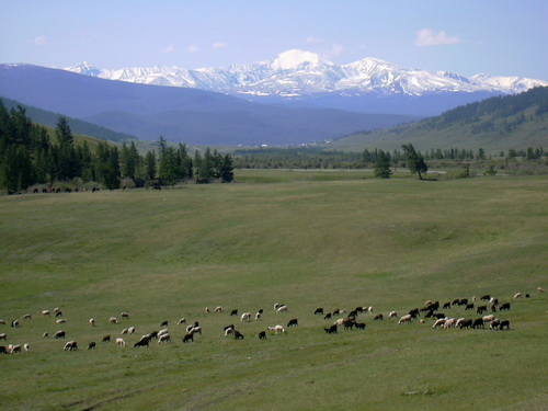 Алтайские земли еще десять лет будут находиться в госсобственности
