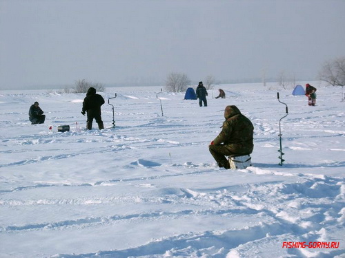 На пруду села Урожайное прошли соревнования по ловле рыбы на мормышку На пруду села Урожайное прошли соревнования по ловле рыбы на мормышку