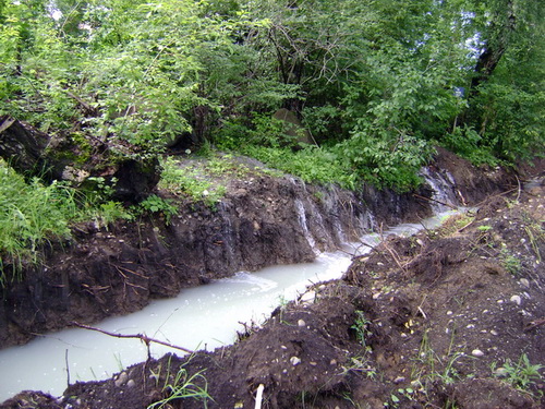 Молокозавод сбрасывал сточные воды в Катунь