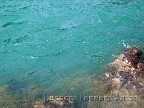 Осенью вода в Катуни приобретает изумрудный оттенок