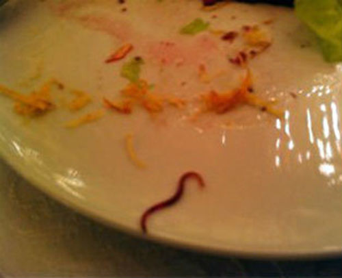 Дмитрий Зеленин поплатился за фотографию червя в салате на кремлевском приеме