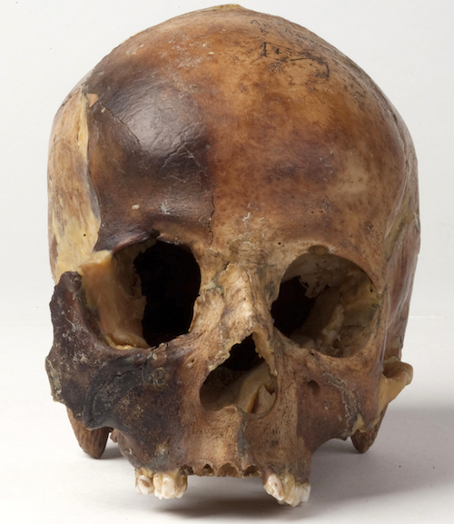 Исходный материал - череп девушки, погребенной на плато Укок
