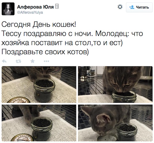 Из-за кота с икрой - на комиссию по этике