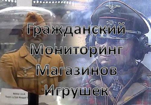 гражданский мониторинг