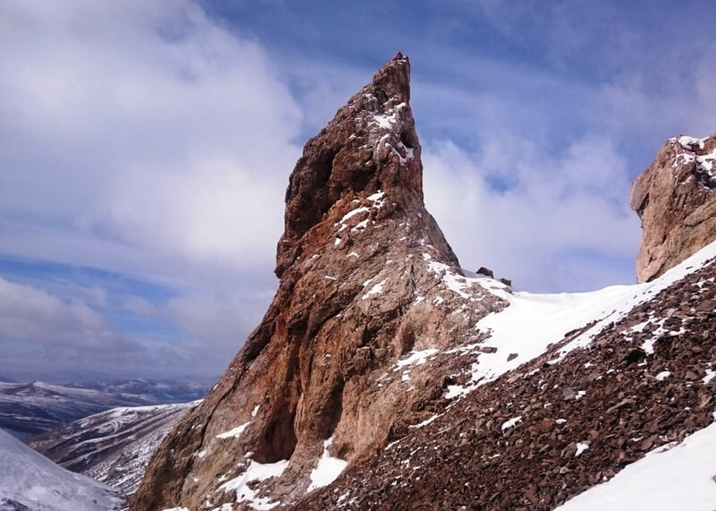  В горах Алтая ученые обнаружили семь новых барсов - фото 2