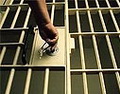 В прошлом году в Республике Алтай присяжные оправдали 7 обвиняемых