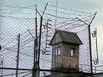 Суд отменил условное наказание нерадивой матери и отправил ее в колонию