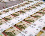 Правительство рассмотрело проект бюджета на 2010 год