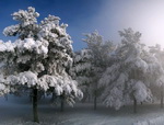 К среде на Алтае потеплеет до -30°С