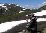 На Алтае насчитали 150 аргали