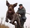 На Алтае открывается сезон охоты