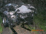 В страшном ДТП под Тальменкой погибла семья из Республики Алтай