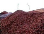 Горно-алтайский завод ЖБИ будет выпускать керамзит