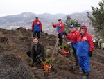 На Тугае за день посадили 7 тыс. деревьев (фото)