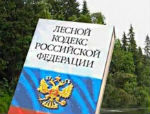 913 граждан наказаны за нарушения лесного законодательства