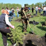 Александр Бердников с супругой посадили ель