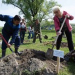 Министр образования Наталья Гусельникова вопреки слухам об отставке продолжает трудиться в составе кабмина. Даже деревья сажает