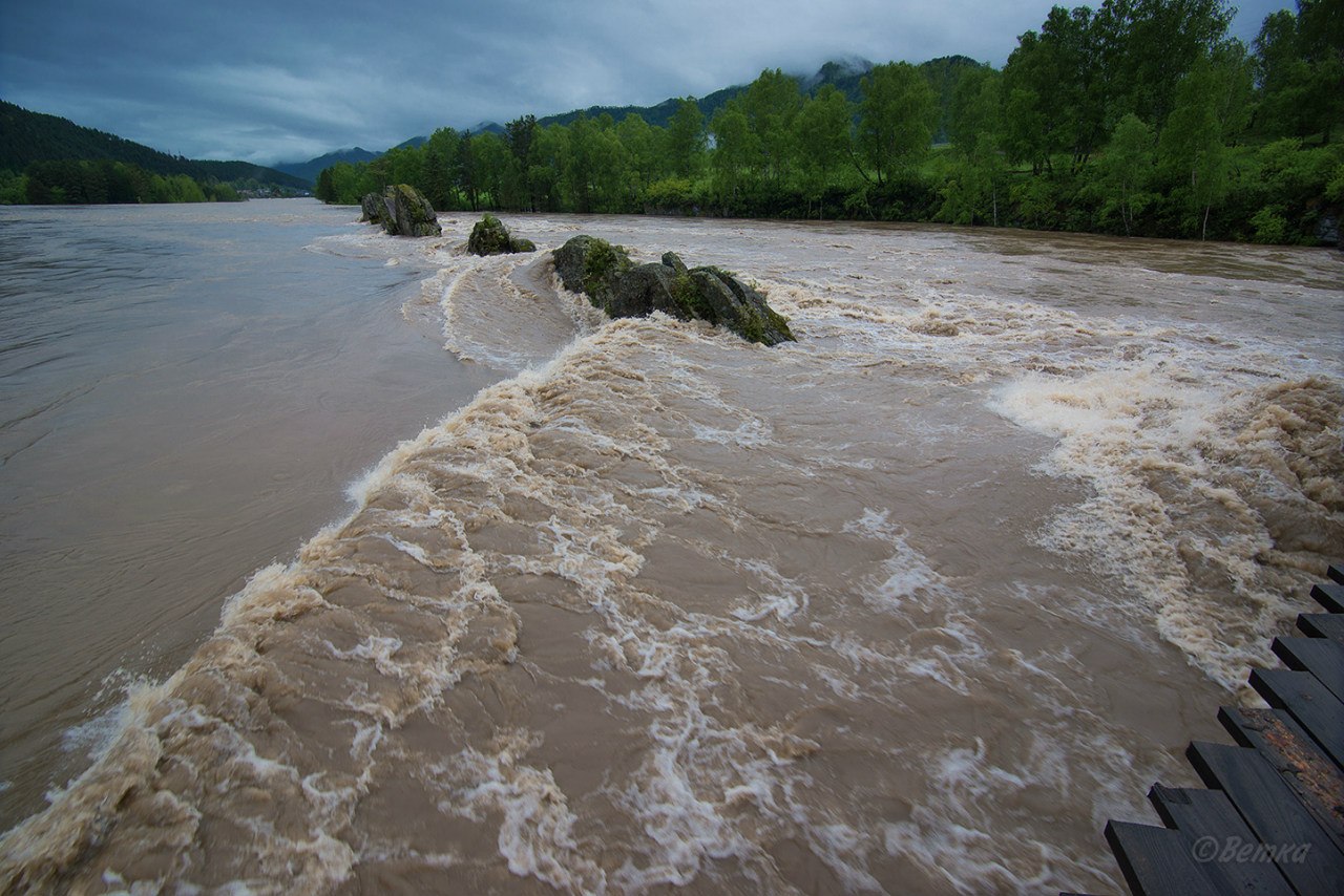 Затопленная долина реки 5. Горный Алтай наводнение. Наводнение на Алтае 2014. Подтопление реки Катунь. Алтай Чемал паводок.