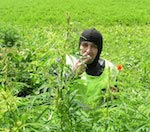 Собравшегося «дунуть» в День знаний подростка выдала торчащая из карманов конопля