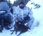Охоту на лося и кабаргу запретили на два года