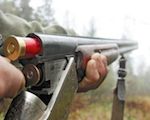 В охоткомитете обсудят лимиты добычи животных