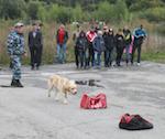 В Горно-Алтайске прошел конкурс кинологов
