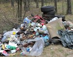 Более 2 тыс. стихийных свалок ликвидировано на Алтае