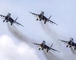 Алтайский сенатор поддержала действия России в Сирии