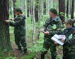 В республике готовятся к лесоустроительным работам