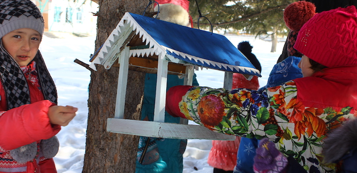 В Усть-Коксинском районе школьники развешали около 40 кормушек для птиц