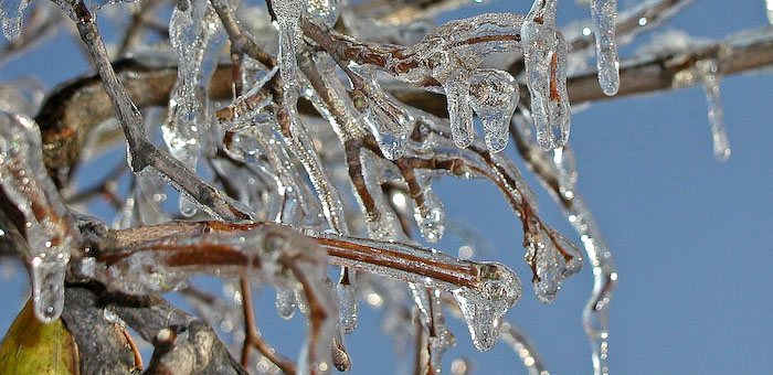 В ближайшие дни на Алтае потеплеет до +10°С