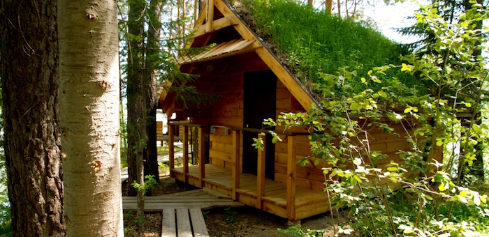 Турбазы на Алтае подешевели на 30%