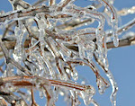 В ближайшие дни на Алтае потеплеет до +10°С