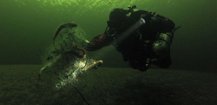 На Телецком озере дайверы вновь освободили рыбу из браконьерских сетей (видео)