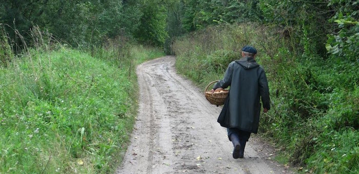 В Чое обсудили проблемы заготовки лесных ресурсов