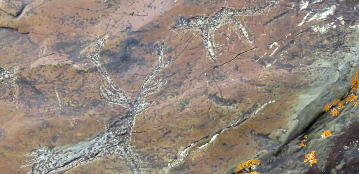 Уникальные петроглифы обнаружили в Кош-Агачском районе