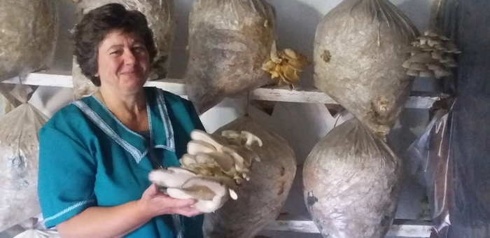 Цех по выращиванию грибов открыли в Усть-Коксинском районе