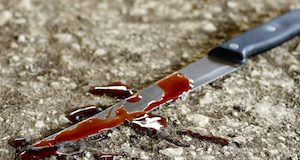 Пьяная мать, разнимая дерущихся сыновей, ударила одного из них ножом
