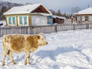 Более 95 млн рублей получит республика на развитие сельских территорий
