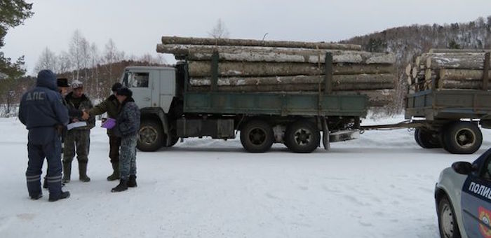 Госинспекторы пресекли незаконную транспортировку древесины