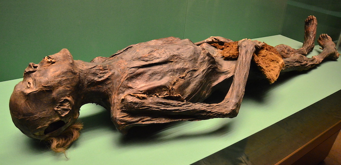 Пазырыкские мумии в Эрмитаже просканировали в 16 режимах