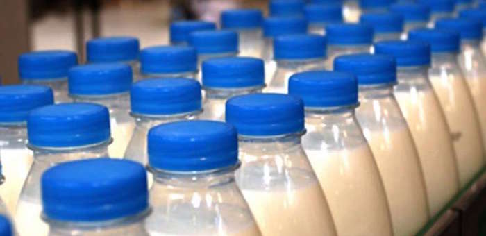«Майма-молоко» планирует увеличить объемы производства