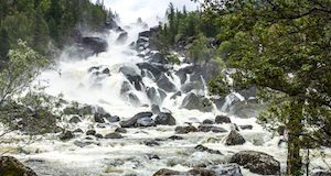 Алтайский заповедник набирает волонтеров для дежурства у водопада Учар