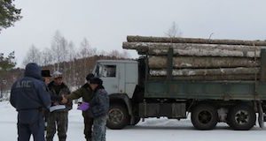 Госинспекторы пресекли незаконную транспортировку древесины
