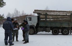 Госинспекторы пресекли незаконную транспортировку древесины